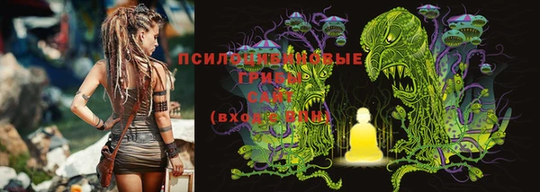 дмт Аркадак